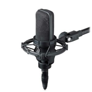 Audio-Technica AT4040 Micrófono de Condensador de Diafragma Grande